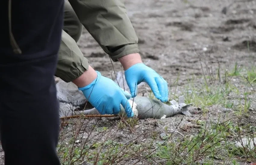 Ukrainian Sappers Complete Advanced International Demining Certification
